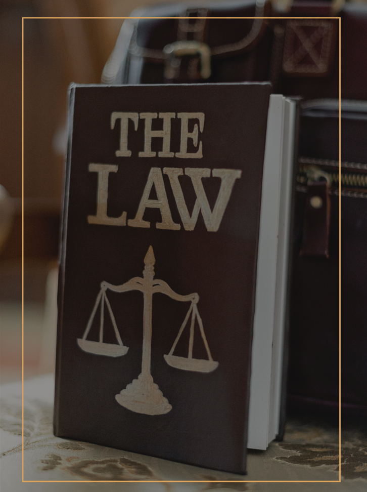 THE LAW.png